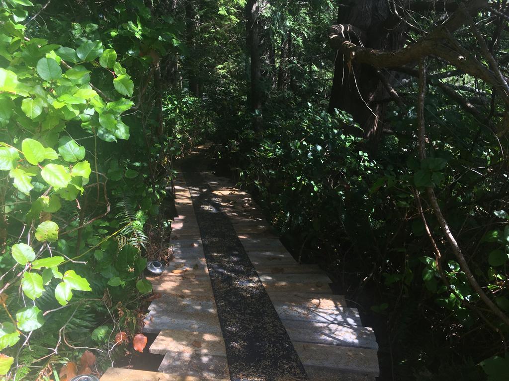 Tofino Stormbay Guest House المظهر الخارجي الصورة